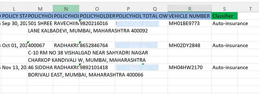 Structured excel file from insurance documents. Image by Author.